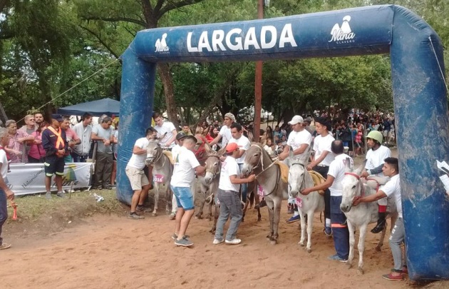 Imagen adicional