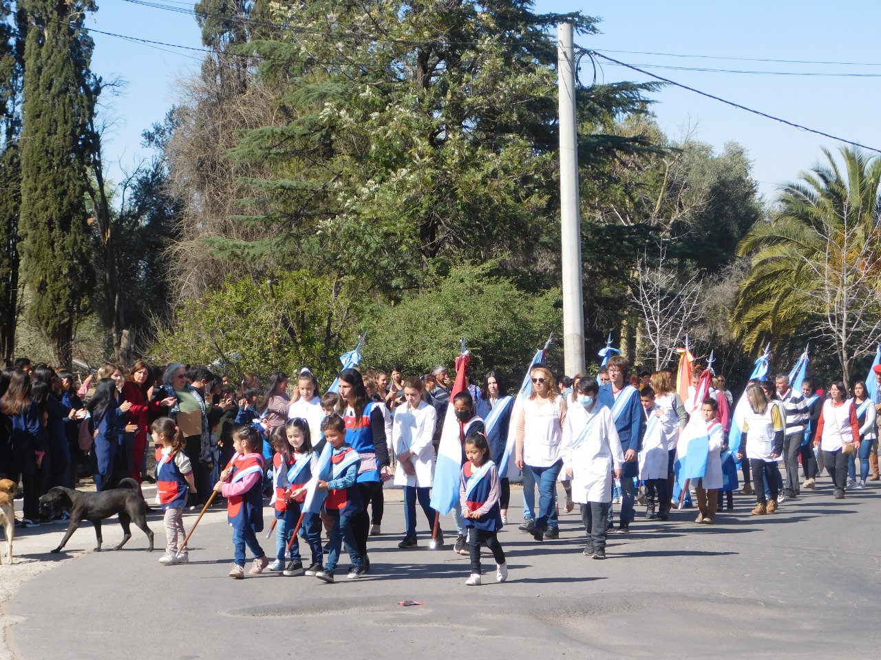 Imagen adicional