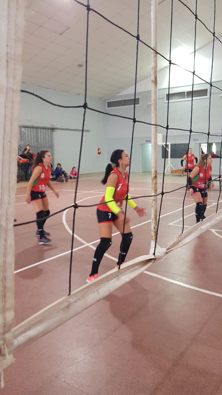 Imagen adicional