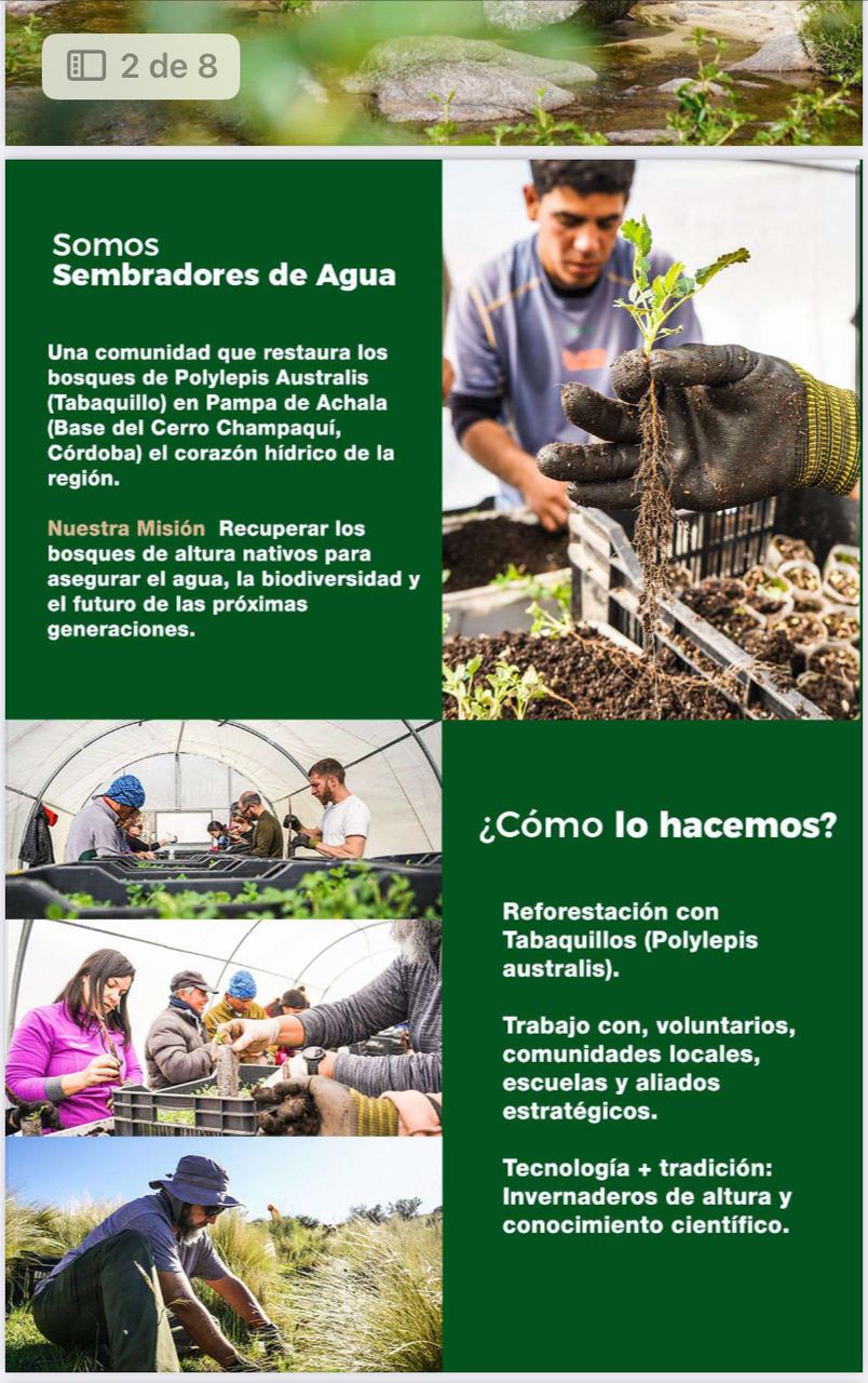 Imagen adicional